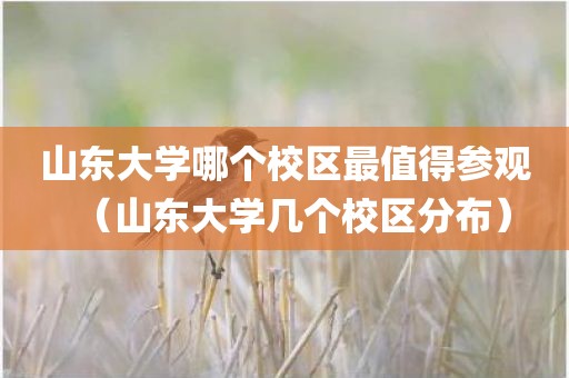山东大学哪个校区最值得参观（山东大学几个校区分布）