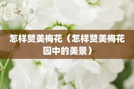 怎样赞美梅花（怎样赞美梅花园中的美景）