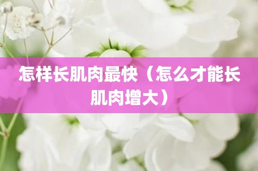 怎样长肌肉最快（怎么才能长肌肉增大）