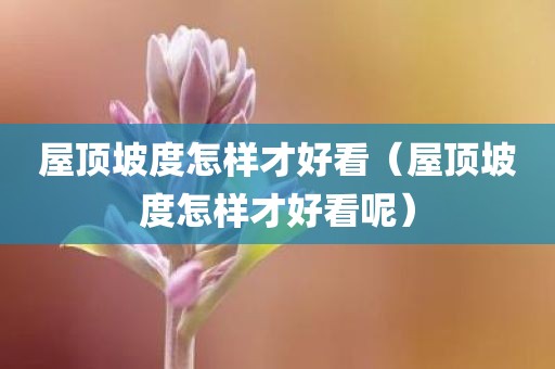 屋顶坡度怎样才好看（屋顶坡度怎样才好看呢）