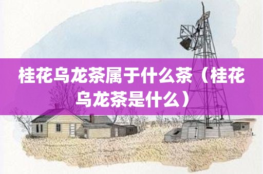 桂花乌龙茶属于什么茶（桂花乌龙茶是什么）