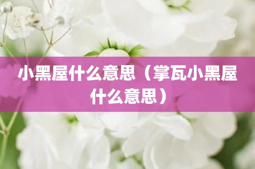 小黑屋什么意思（掌瓦小黑屋什么意思）
