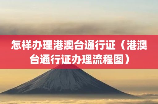 怎样办理港澳台通行证（港澳台通行证办理流程图）