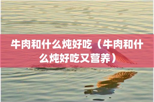 牛肉和什么炖好吃（牛肉和什么炖好吃又营养）