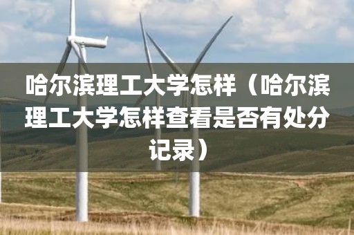 哈尔滨理工大学怎样（哈尔滨理工大学怎样查看是否有处分记录）