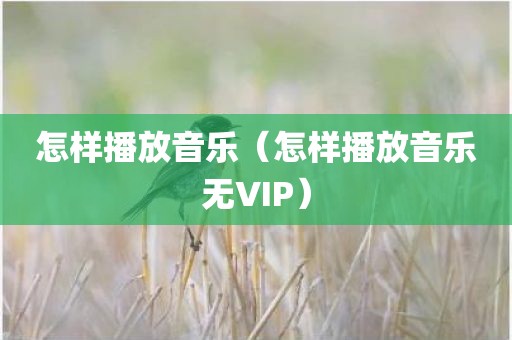 怎样播放音乐（怎样播放音乐无VIP）