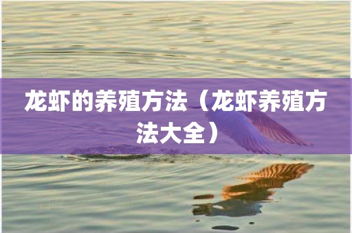 龙虾的养殖方法(龙虾养殖方法大全)