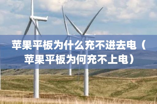 苹果平板为什么充不进去电（苹果平板为何充不上电）