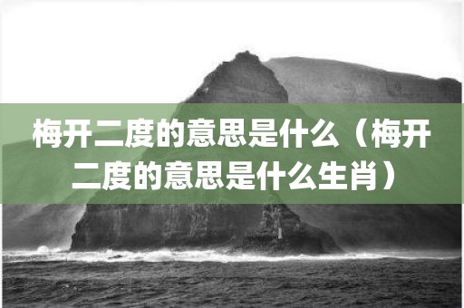 梅开二度的意思是什么（梅开二度的意思是什么生肖）