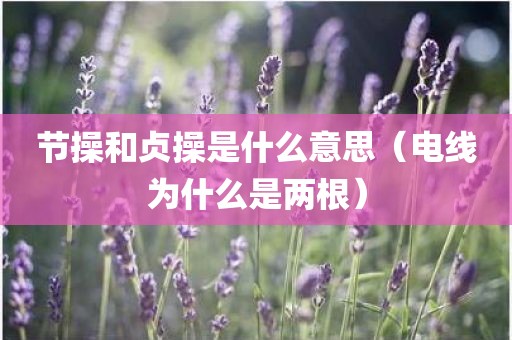 节操和贞操是什么意思（电线为什么是两根）