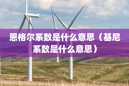 恩格尔系数是什么意思（基尼系数是什么意思）