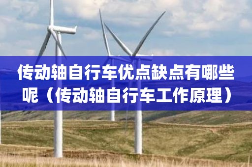 传动轴自行车优点缺点有哪些呢(传动轴自行车工作原理) 传动轴自行车优点缺点有哪些呢(传动轴自行车工作原理)