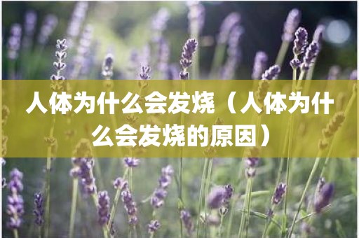 人体为什么会发烧（人体为什么会发烧的原因）