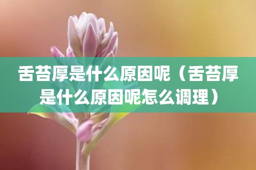 舌苔厚是什么原因呢（舌苔厚是什么原因呢怎么调理）
