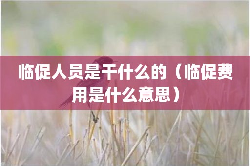 临促人员是干什么的（临促费用是什么意思）