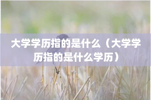 大学学历指的是什么（大学学历指的是什么学历）