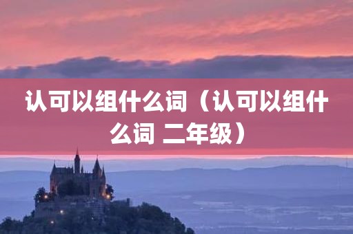认可以组什么词（认可以组什么词 二年级）