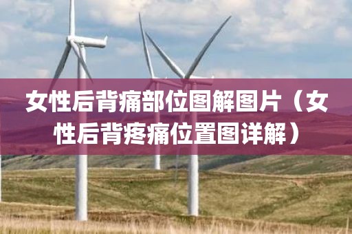 女性后背痛部位图解图片（女性后背疼痛位置图详解）