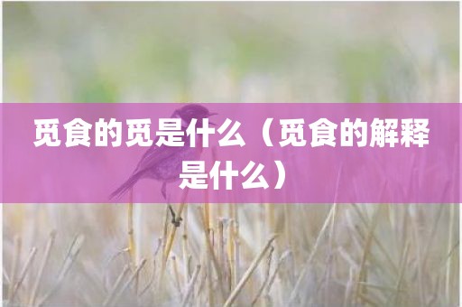 觅食的觅是什么（觅食的解释是什么）