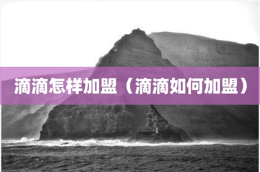 滴滴怎样加盟(滴滴如何加盟)