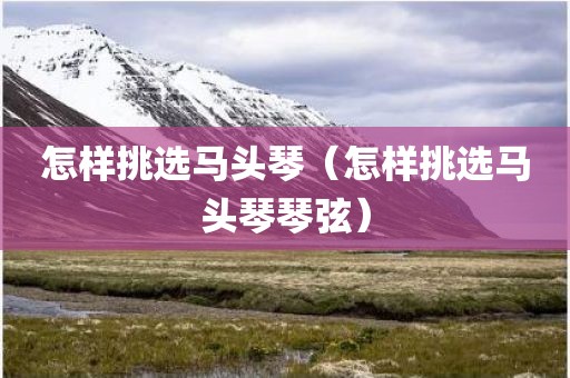 怎样挑选马头琴（怎样挑选马头琴琴弦）