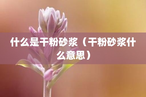 什么是干粉砂浆（干粉砂浆什么意思）