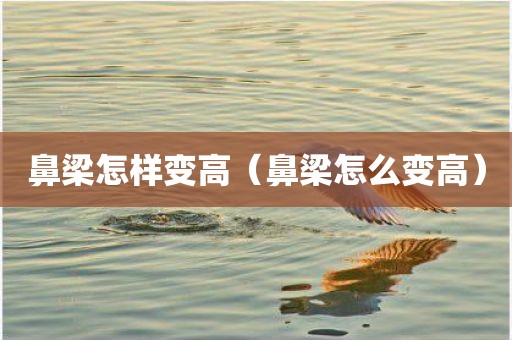 鼻梁怎样变高（鼻梁怎么变高）