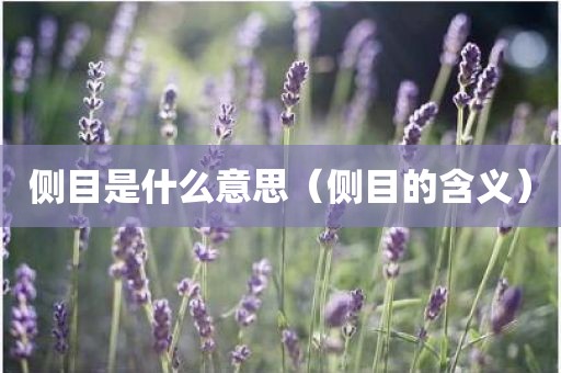 侧目是什么意思（侧目的含义）