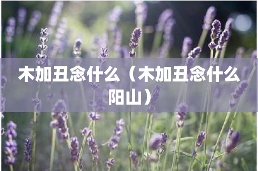 木加丑念什么（木加丑念什么阳山）