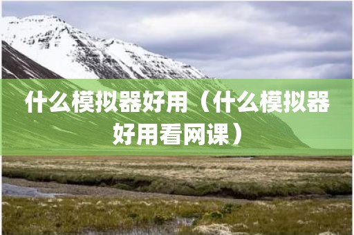 什么模拟器好用（什么模拟器好用看网课）