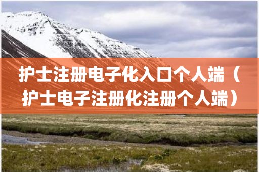 护士注册电子化入口个人端（护士电子注册化注册个人端）