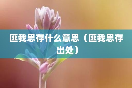 匪我思存什么意思（匪我思存 出处）