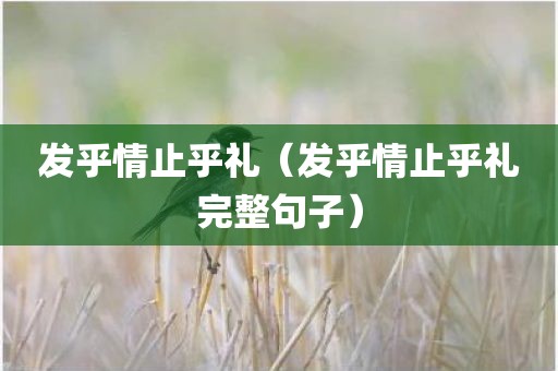 发乎情止乎礼（发乎情止乎礼完整句子）