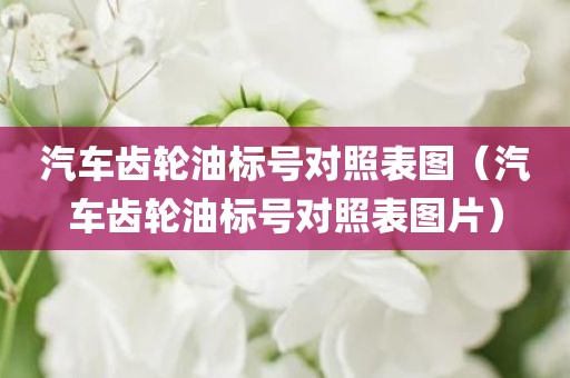 汽车齿轮油标号对照表图（汽车齿轮油标号对照表图片）
