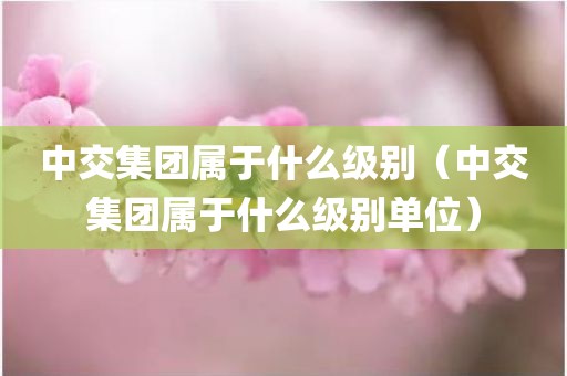 中交集团属于什么级别（中交集团属于什么级别单位）