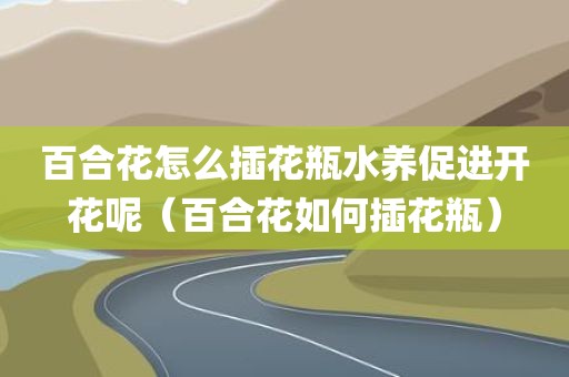 百合花怎么插花瓶水养促进开花呢（百合花如何插花瓶）