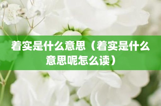 着实是什么意思（着实是什么意思呢怎么读）