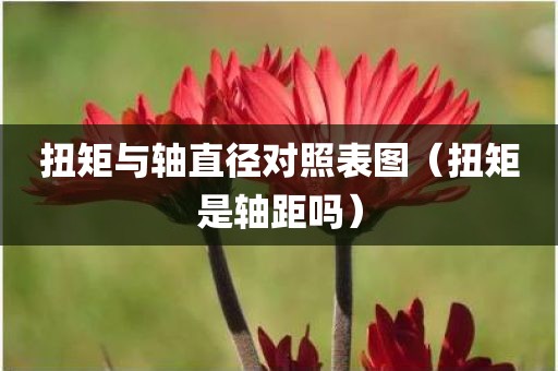 扭矩与轴直径对照表图（扭矩是轴距吗）