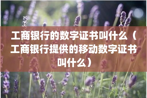 工商银行的数字证书叫什么（工商银行提供的移动数字证书叫什么）