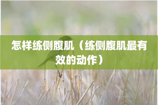怎样练侧腹肌（练侧腹肌最有效的动作）