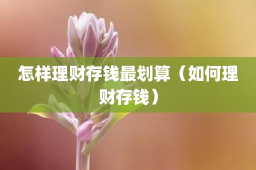 怎样理财存钱最划算（如何理财存钱）
