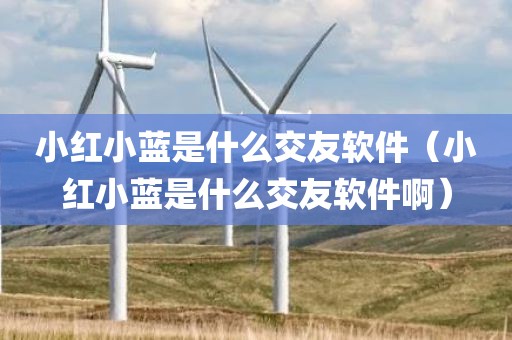 小红小蓝是什么交友软件（小红小蓝是什么交友软件啊）