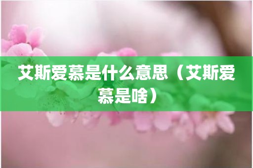 艾斯爱慕是什么意思（艾斯爱慕是啥）