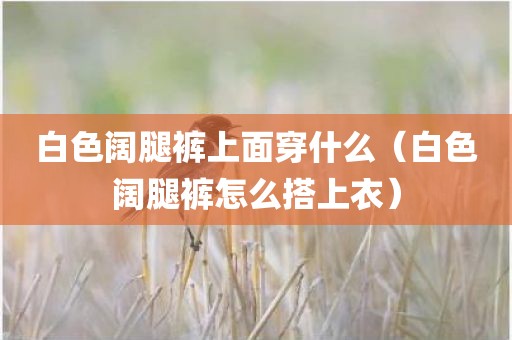 白色阔腿裤上面穿什么（白色阔腿裤怎么搭上衣）