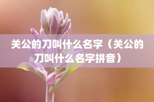 关公的刀叫什么名字（关公的刀叫什么名字拼音）