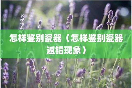 怎样鉴别瓷器（怎样鉴别瓷器返铅现象）