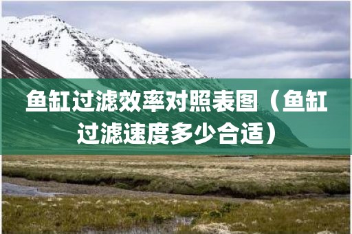 鱼缸过滤效率对照表图（鱼缸过滤速度多少合适）