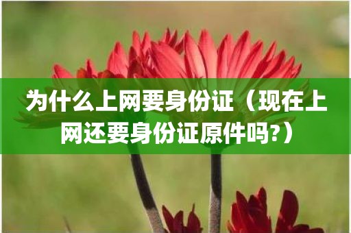 为什么上网要身份证(现在上网还要身份证原件吗?)