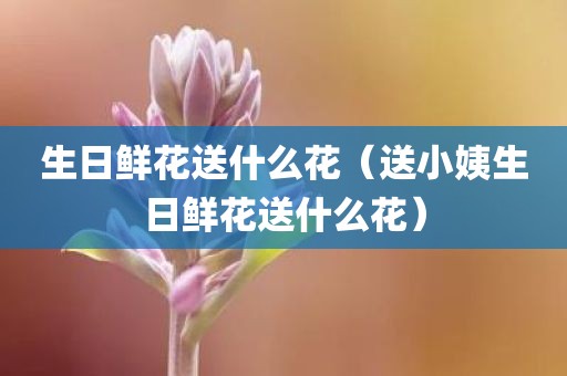 生日鲜花送什么花（送小姨生日鲜花送什么花）