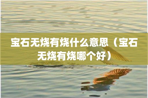 宝石无烧有烧什么意思（宝石无烧有烧哪个好）